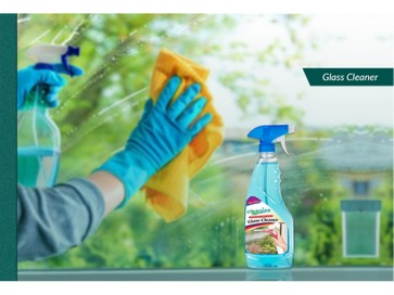 home glass cleaner